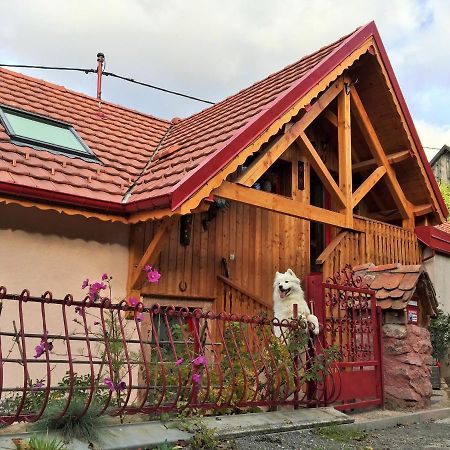 Gite Du Durrenbach Lautenbach Екстериор снимка