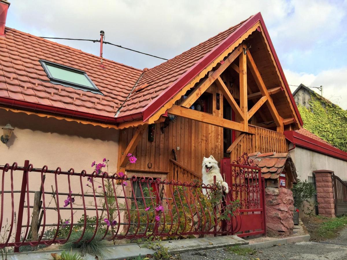 Gite Du Durrenbach Lautenbach Екстериор снимка