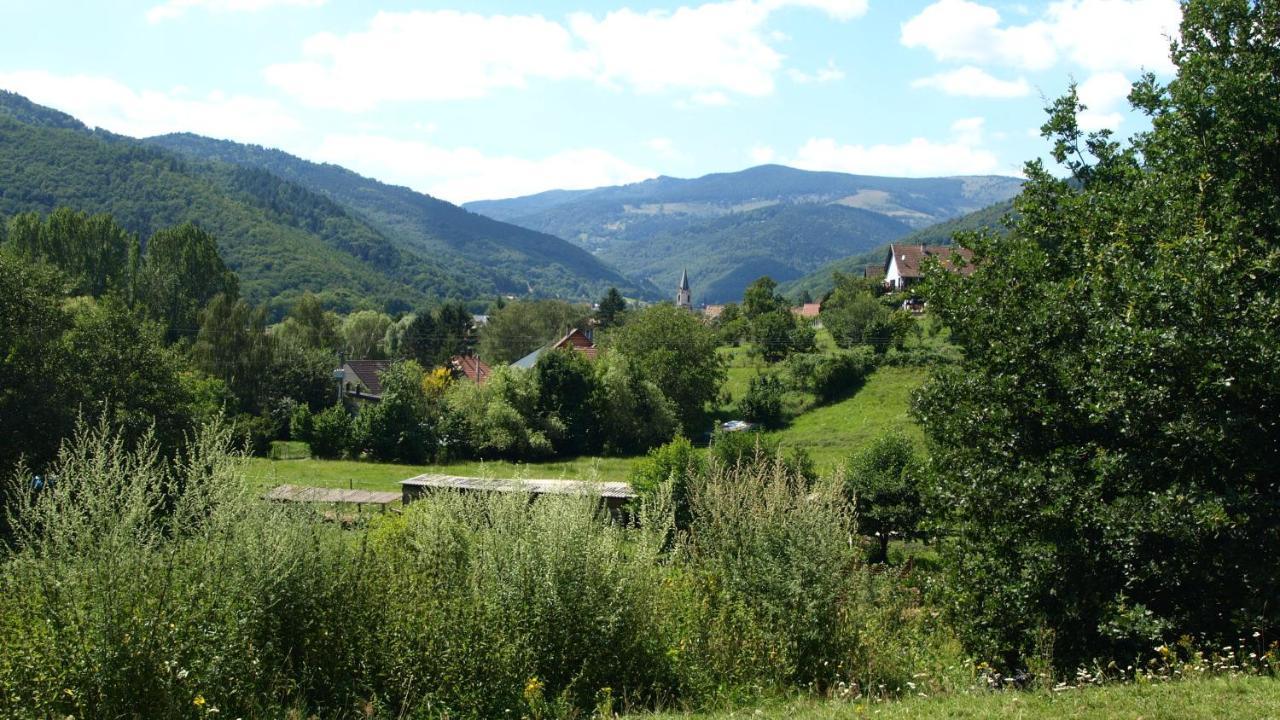 Gite Du Durrenbach Lautenbach Екстериор снимка