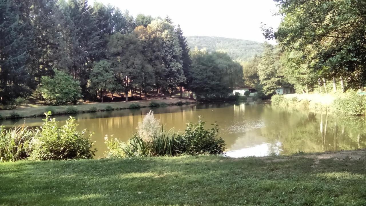 Gite Du Durrenbach Lautenbach Екстериор снимка